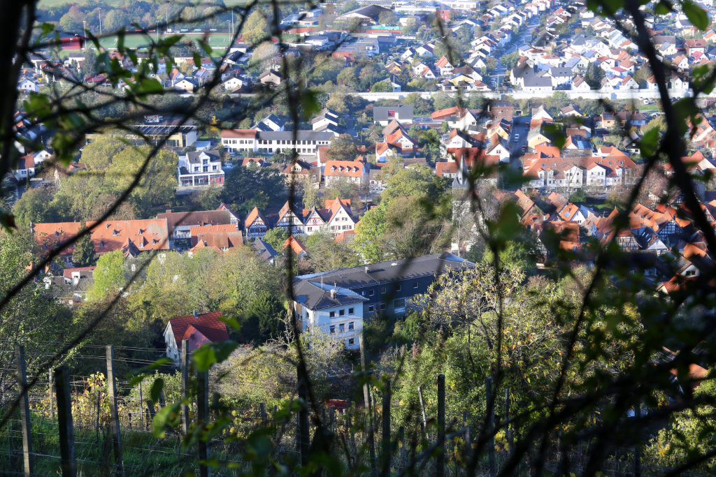 Blick nach unten auf die Altstadt von Zwingenberg