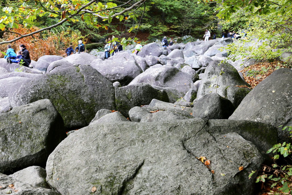 Blick auf das Felsenmeer bei Reichenbach