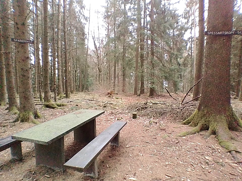 Picknickbank im Wald