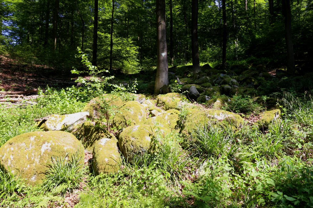 Ein kleine Felsenmeer, bestehend aus großen, wollsackverwitterten Felsbrocken