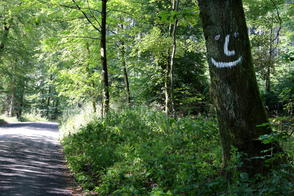 Schotterweg im Wald, links ein Baumstamm auf den ein lachendes Gesicht gemalt ist