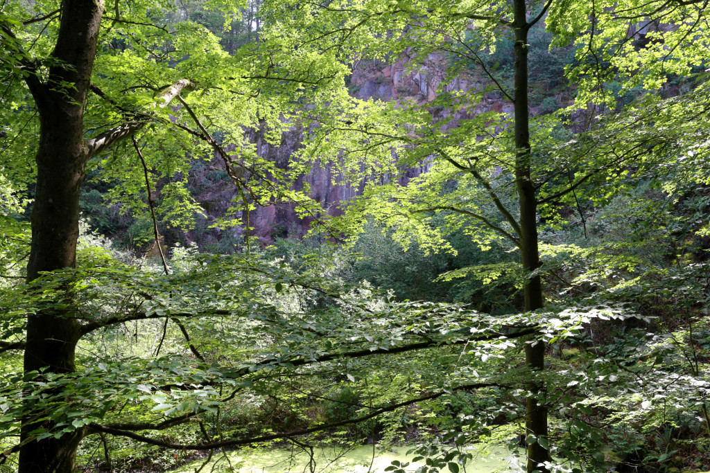 Hellgrün schimmernder Teich, Bäume und Pflanzen, im Hintergrund rote Granitwand