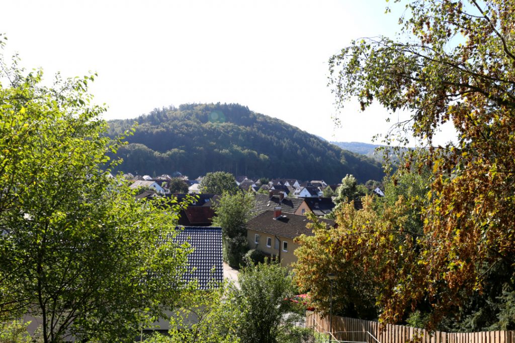 Blick auf Reisen bei Birkenau im Odenwald, Häuser in der Mitte, rechts und links hohe Bäume, im Hintergrund ein bewaldeter Hügel