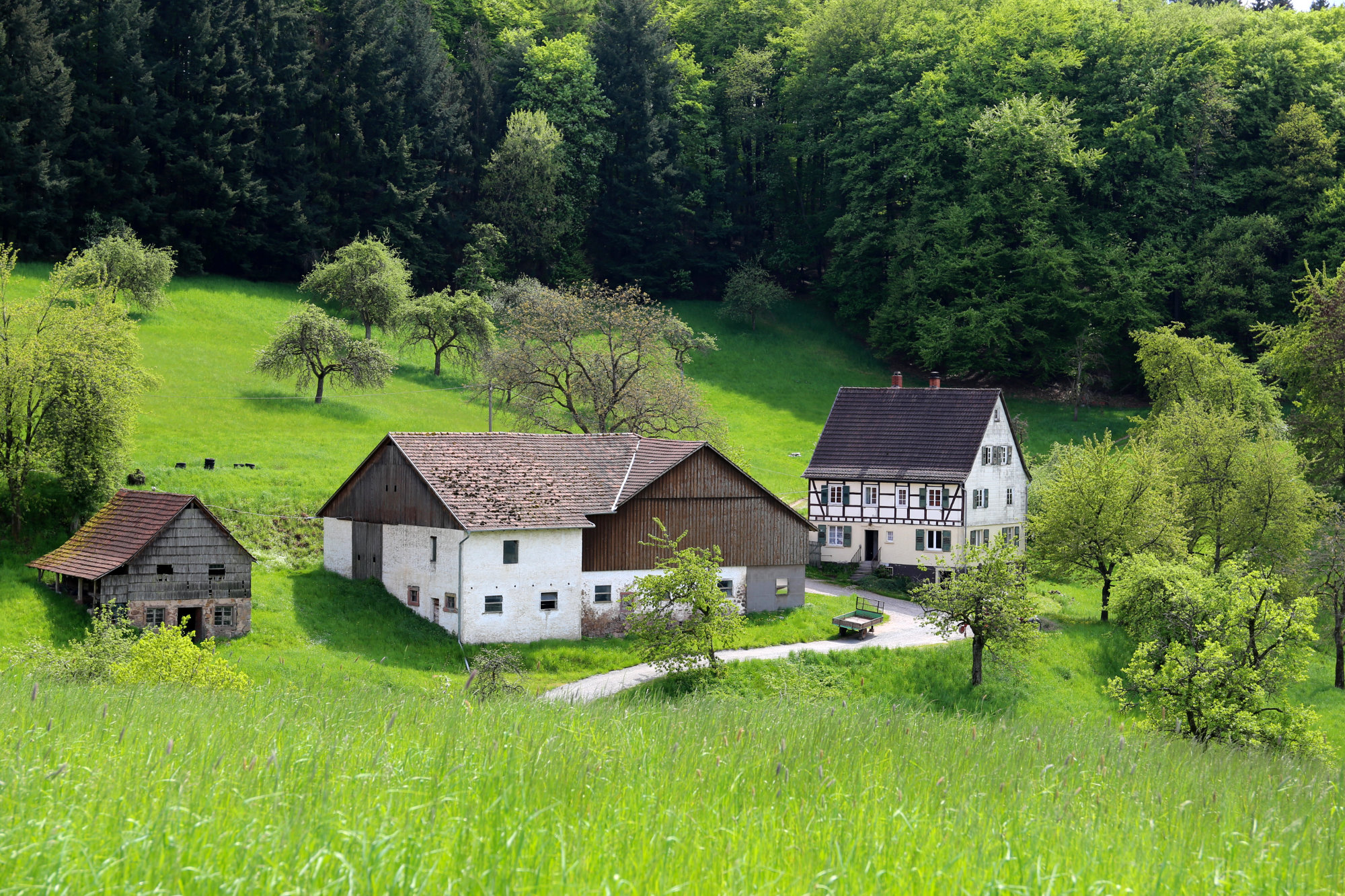 Fachwerkhaus und Nebengebäude in grüner, hügeliger Landschaft